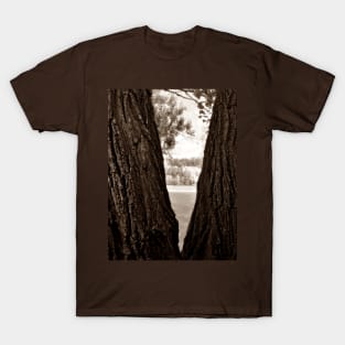 Looking at the River from in between the Trees - Brown T-Shirt